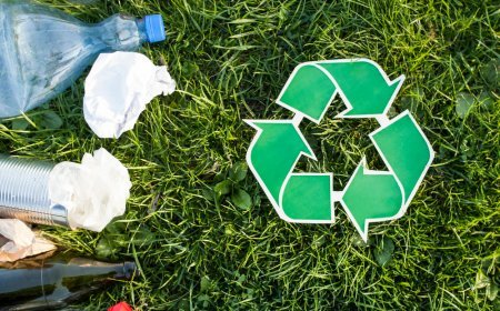 เรียนรู้คำสั่ง AI ChatGPT Prompts ออกแบบกราฟฟิกเพื่อแสดงผลดีต่อสิ่งแวดล้อมของผลิตภัณฑ์/บริการ Eco-Friendly