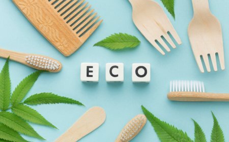 เขียนคำสั่ง AI ChatGPT Prompts แผนการตลาดผลิตภัณฑ์เพื่อสิ่งแวดล้อม: กล่องสมัครสมาชิกและโปรแกรมความภักดี