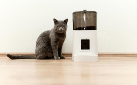 วิธีสร้าง AI ChatGPT Prompts ออกแบบผลิตภัณฑ์ป้อนสัตว์เลี้ยงอัตโนมัติพร้อมกล้อง webcam