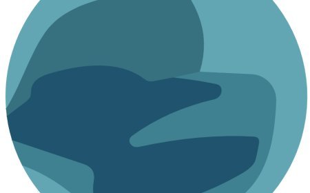 Moondream2 คืออะไร? รีวิวการใช้งานโมเดล AI จดจำภาพที่ดีที่สุด