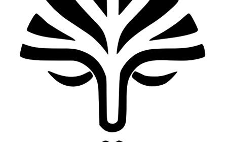 EchoNotes คืออะไร? รีวิวแอปช่วยจดบันทึกเสียงด้วย AI ที่ใช้ง่ายที่สุด