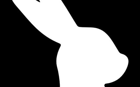 Rabbithole AI คืออะไร? แพลตฟอร์มเรียนรู้ที่ช่วยเปิดโลกความรู้แบบโต้ตอบ