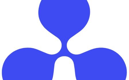 Automateed คืออะไร? รีวิวเครื่องมือ AI เขียน eBook อัตโนมัติ ใช้งานยังไงบ้าง?