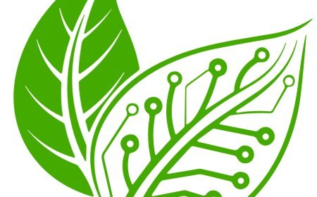 AI Garden Design คืออะไร? รีวิวเครื่องมือออกแบบสวนด้วย AI จาก Ogrovision ใช้งานยังไงให้ได้ผลจริง