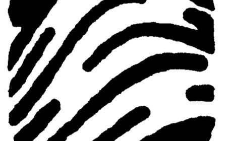 Kin คืออะไร? รีวิว AI ส่วนตัวที่ใช้ยังไงก็เข้าใจคุณ พร้อมปกป้องข้อมูลส่วนตัว