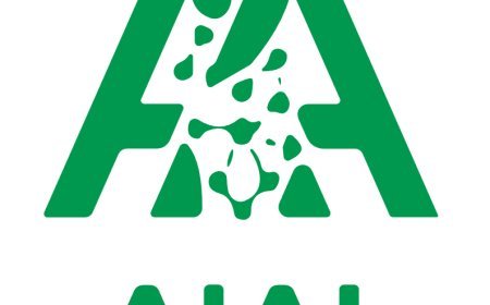 AIAI Generator คืออะไร รีวิวเครื่องมือสร้างภาพและวิดีโอด้วย AI ใช้งานยังไงให้ได้ผลดีที่สุด